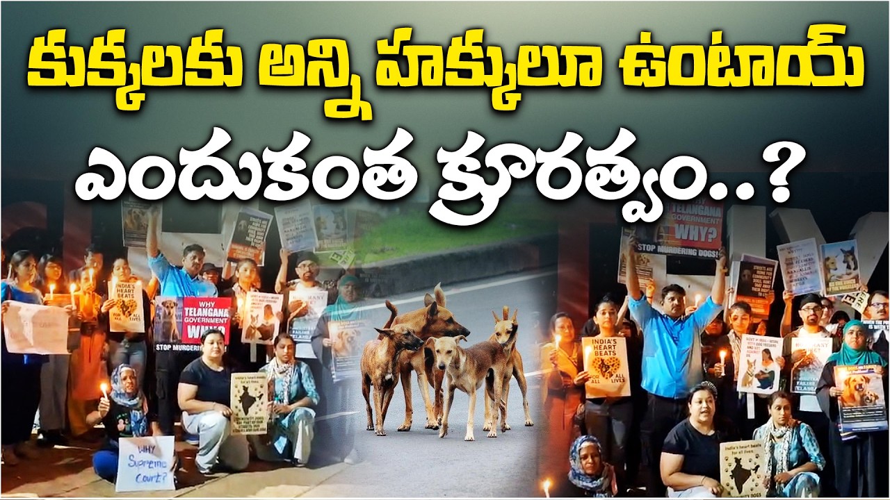 “Stray Dogs Have Rights Too” | Animal Lovers Protest at Hyderabad Necklace Road