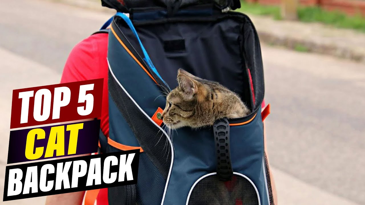 Top 5 Best Cat Backpacks in 2026 &ndash; Travel in Style with Your Furry Friend