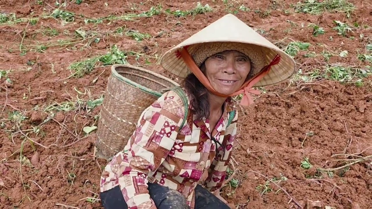 Mót khoai lang cùng  với người đồng bào quá đông