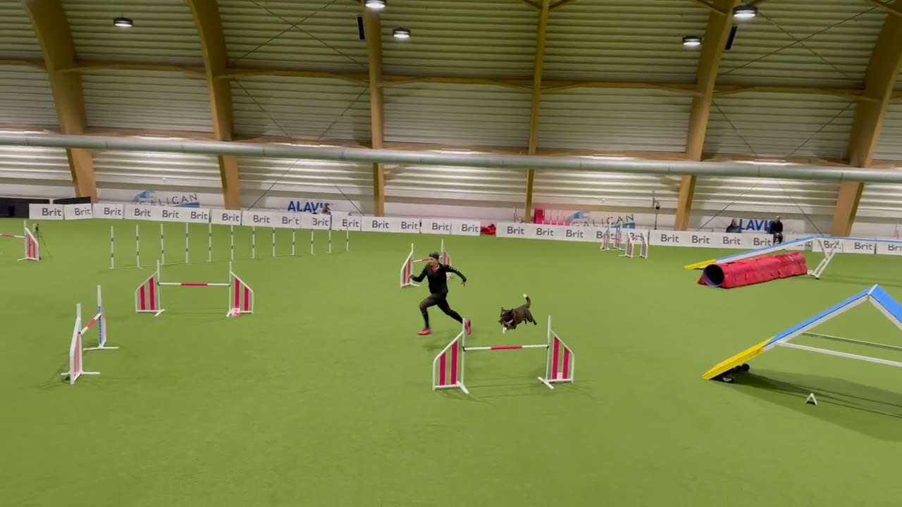 CZECH TRYOUTS TO WORLD AGILITY OPEN 2025