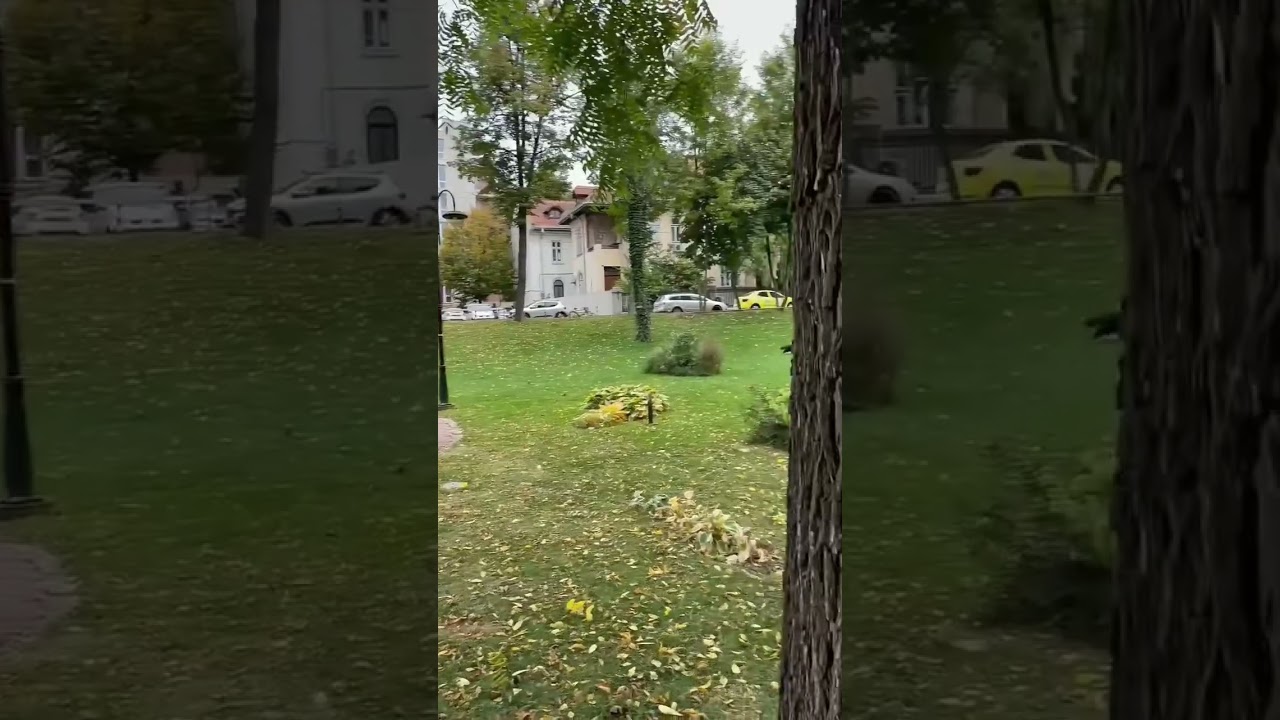 Autumn 🍂🍁2021 #romania #iasi #studyinromania