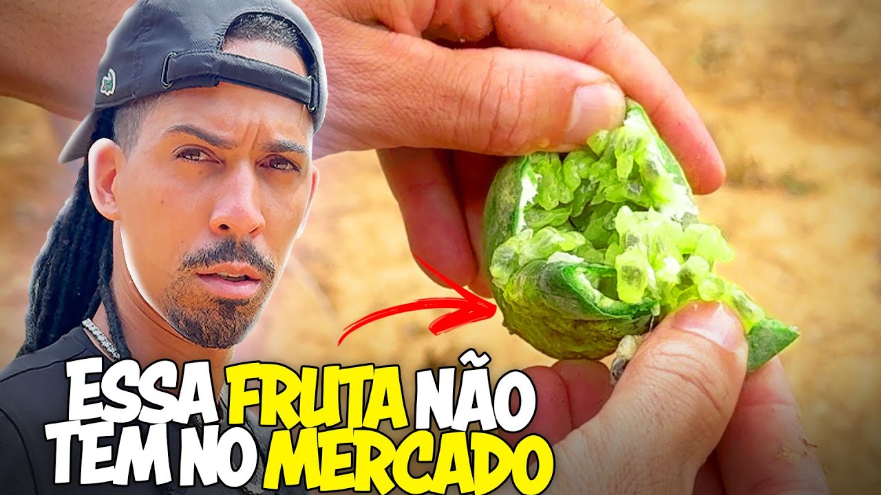 VOCÊ CONHECE ESSA FRUTA?