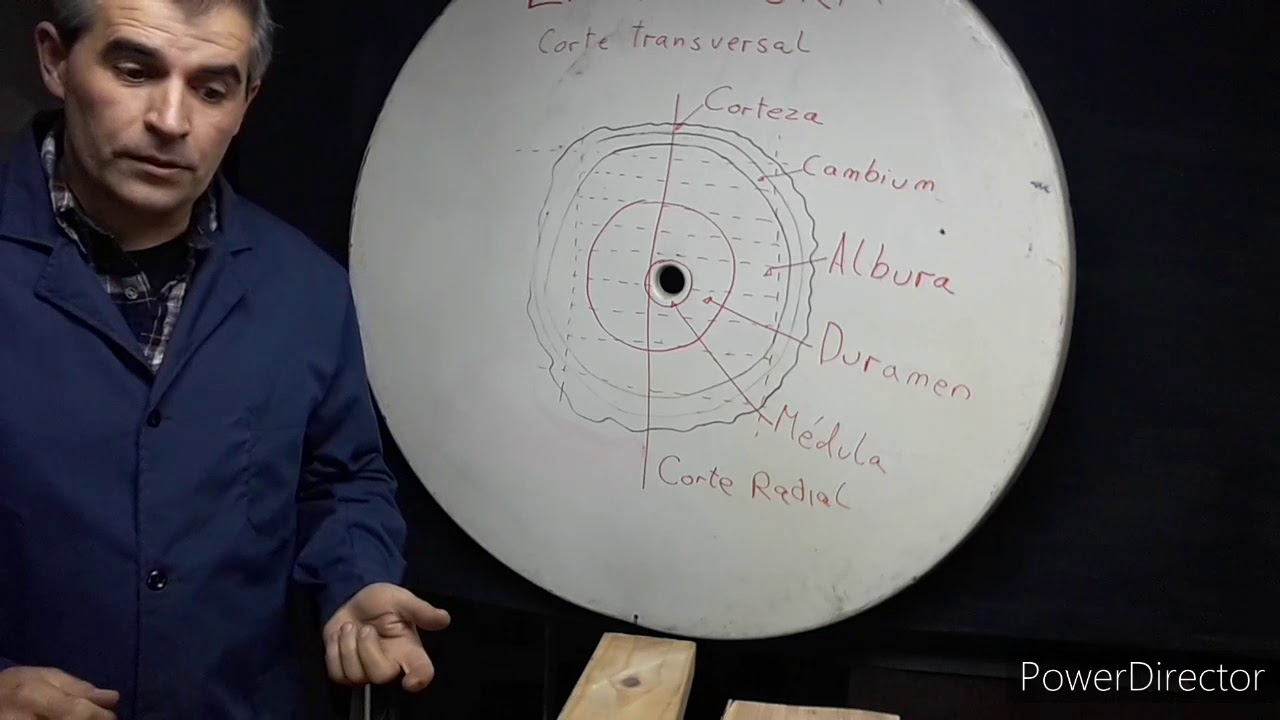 Características de la madera