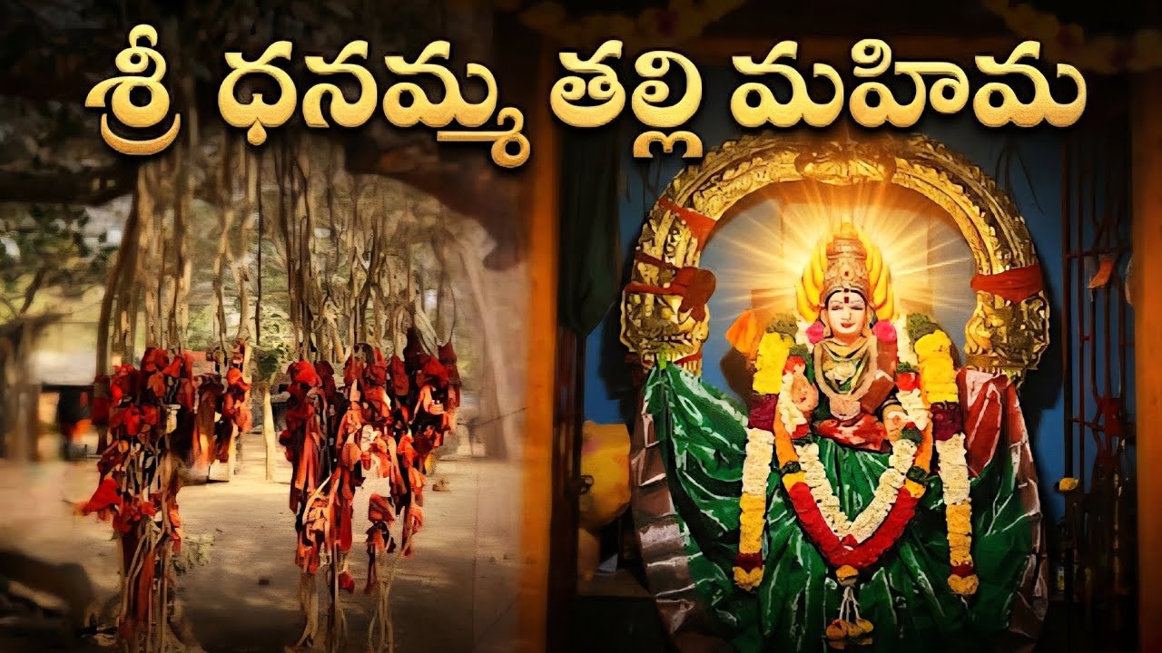 భక్తులు ఎందుకు ఈ చెట్టు దగ్గర ఎర్ర గుడ్డ కడతారు? |గ్రామ దేవత దనుమ తల్లి|DannamaThalli Temple