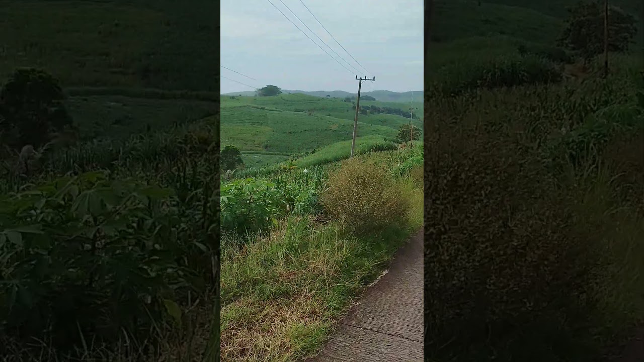 jalan menuju pantai molang #shortvideo