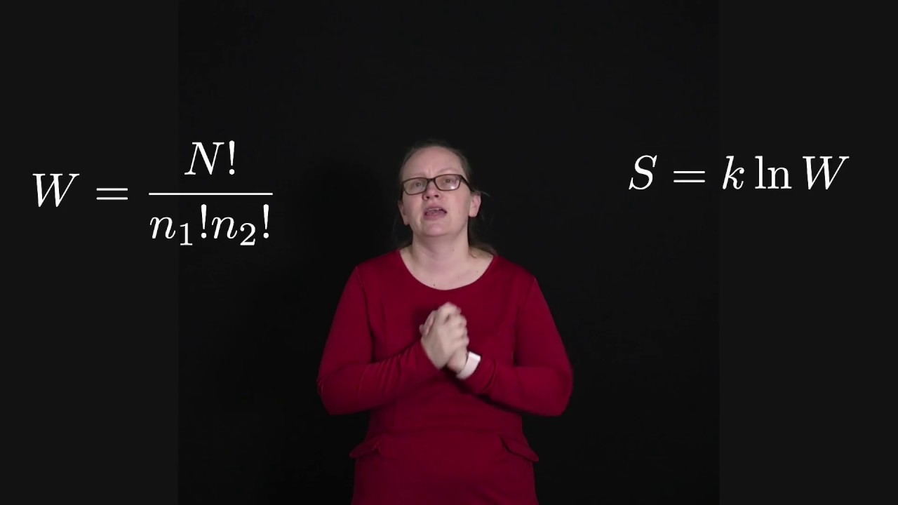 Boltzmann entropy