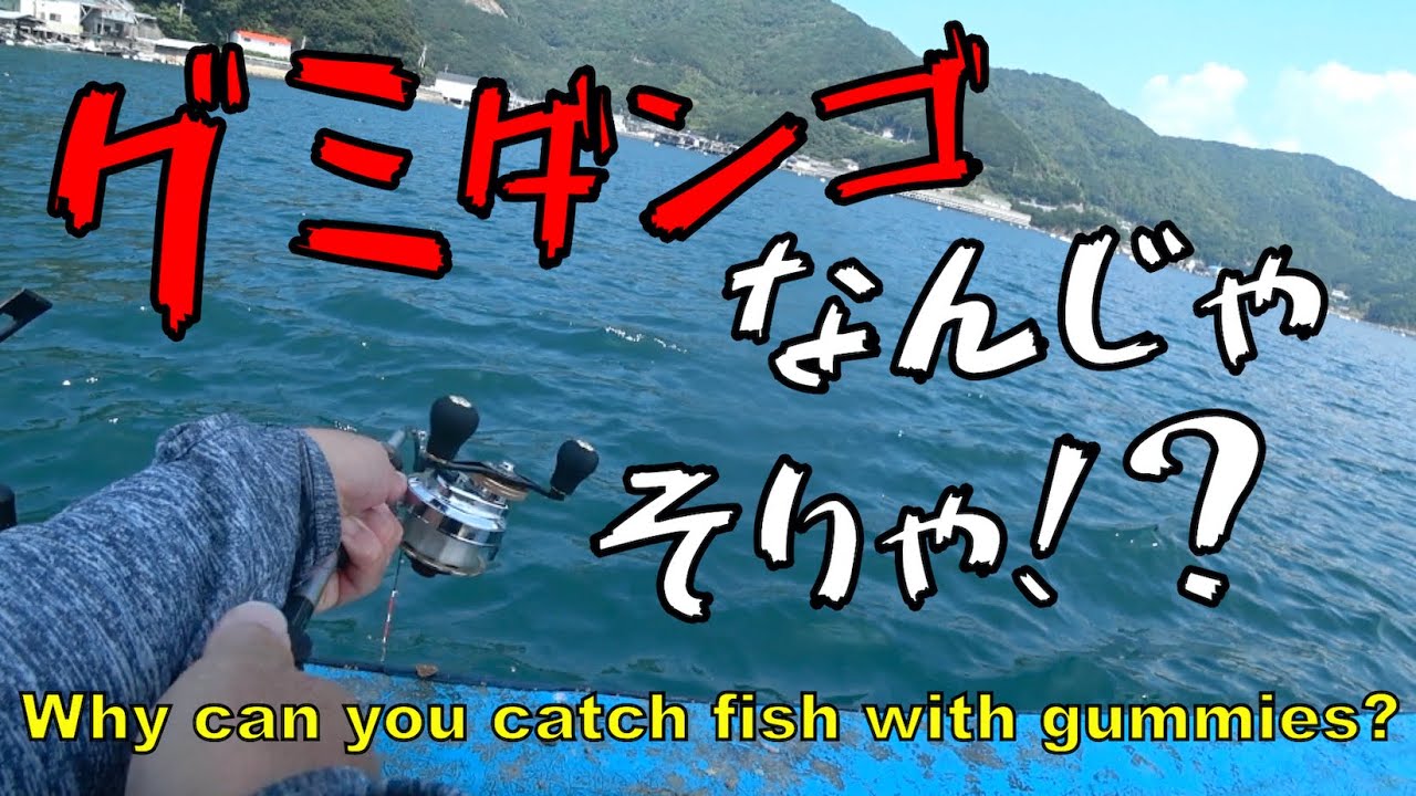【ダンゴ釣り】タフグミをダンゴに入れたら釣れるじゃん！！！
