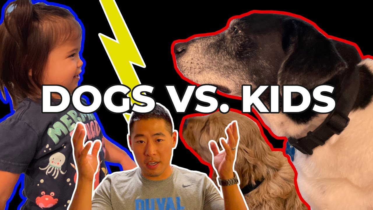 DOGS VS KIDS - Do Dogs Really Prepare You For Kids??