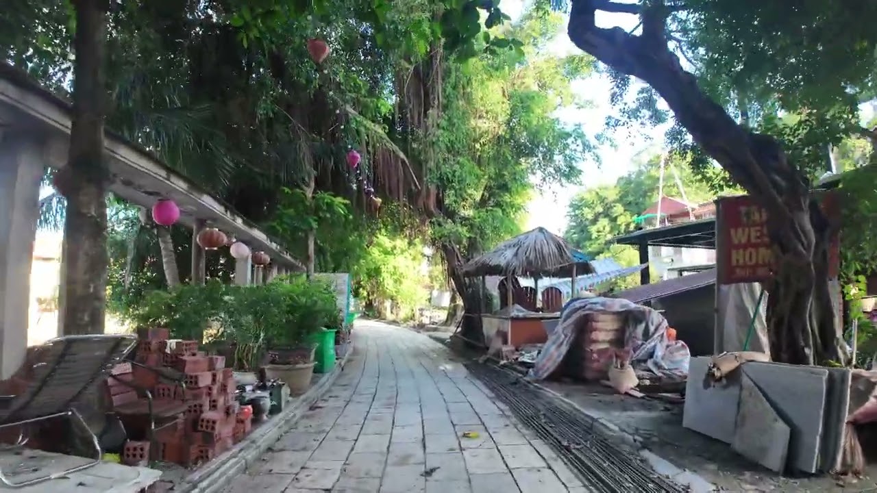 【4K】Ninh Binh Walk - Tam Coc (Jul, 2024) ニンビン タムコック