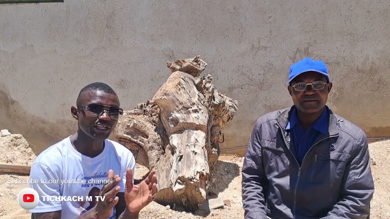 NYAYAYE BAG REKUTAURA KWAHONDE YAKORA MUTO