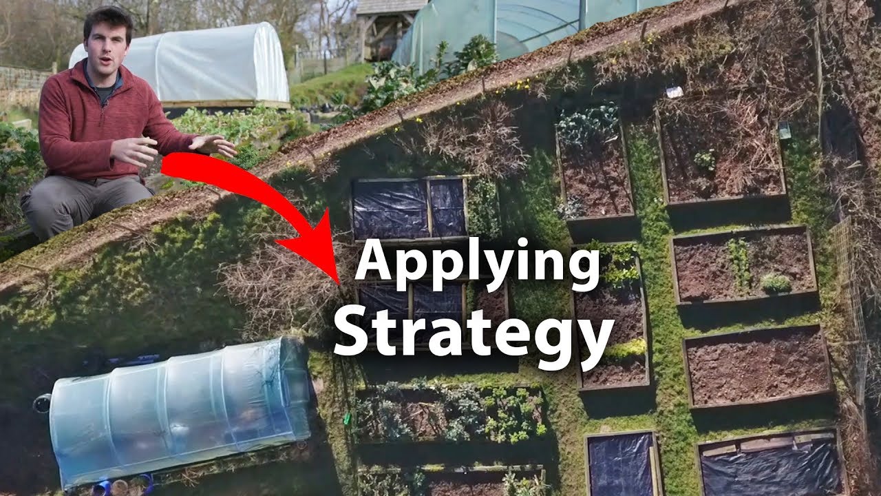 How to INCREASE Your Garden PRODUCTIVITY with Strategic Thinking