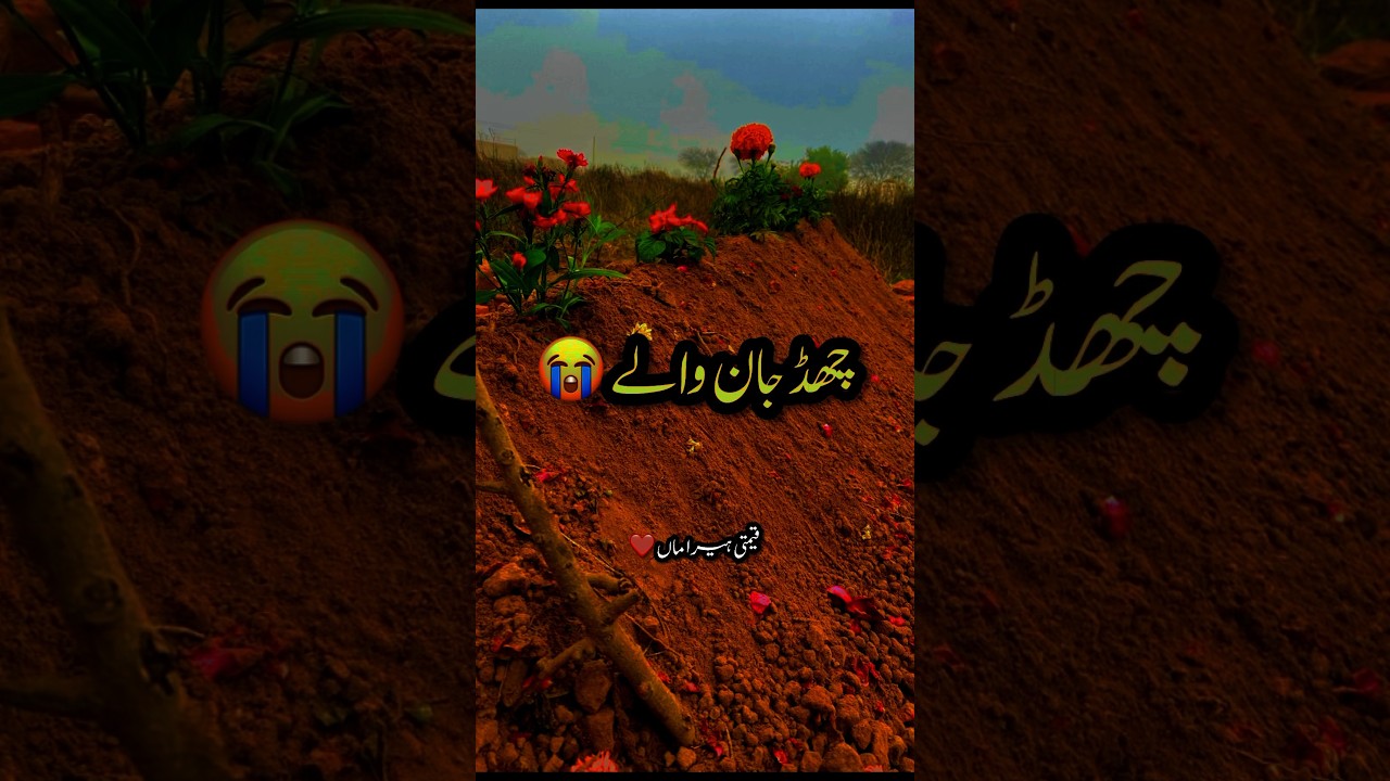 𝐑𝐚𝐚𝐛𝐚 𝐤𝐢𝐭𝐡𝐲 𝐜𝐡𝐥𝐲 𝐣𝐚𝐚𝐧𝐝𝐲 𝐧𝐲 /chad jan  waلے❤️😩 #maa #qeemtiquotes #shortvideos