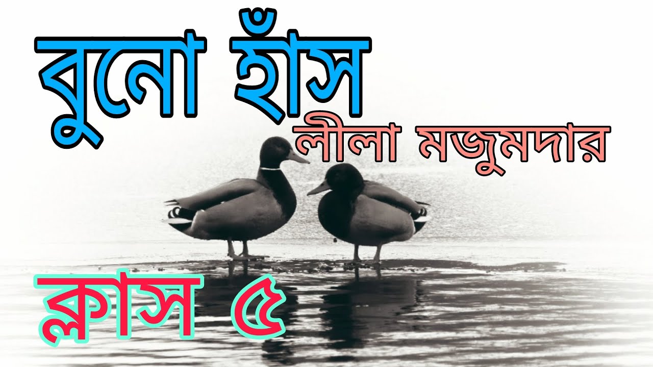 buno haansh leela majumdar | buno has | বুনো হাঁস | buno haansh class 5 | bono has class 5 |