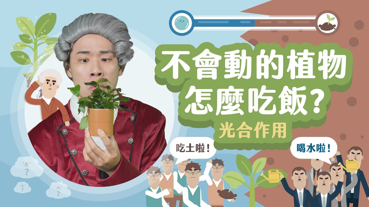 你吃牛、牛吃草、草吃...草到底吃什麼？！【LIS科學史】(瑟訥比埃 - 光合作用)