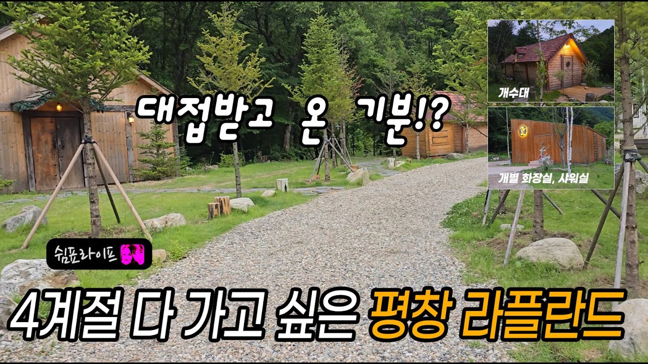 생애처음 솔로캠핑 대접받고 온 기분 /  7성급 평창 라플란드 캠핑장 D6데크 / 개별화장실,샤워실 / 품격높은 개수대