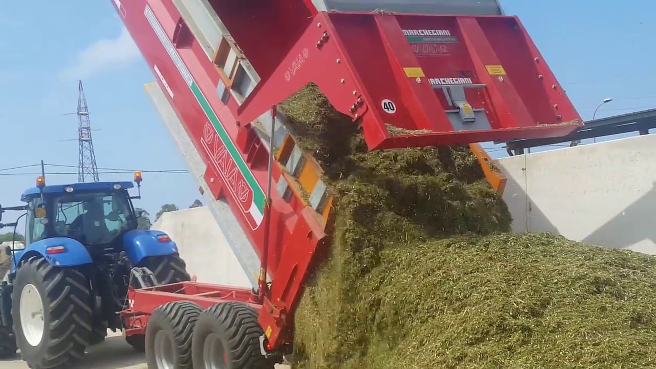 |PESTATURA TRITICALE 2018| |Johndeere| |New Holland| |Vaia| |Zaccaria|