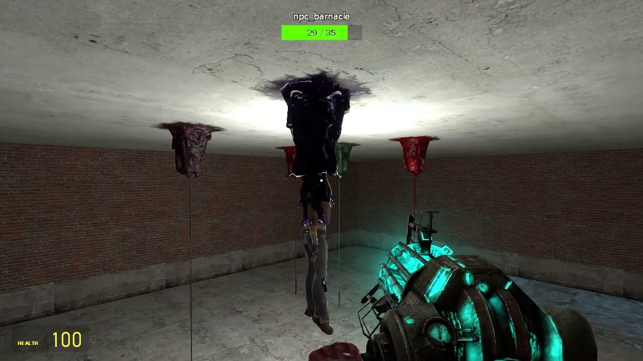 disco barnacles eating!