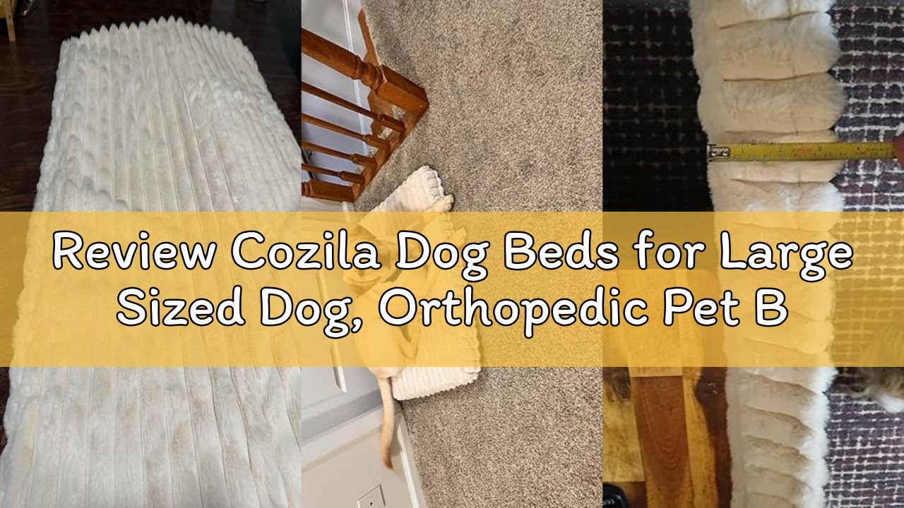 Review Cozila Dog Beds for Large Sized Dog, Orthopedic Pet Bed with Waterproof Lining, Soft Short Pl