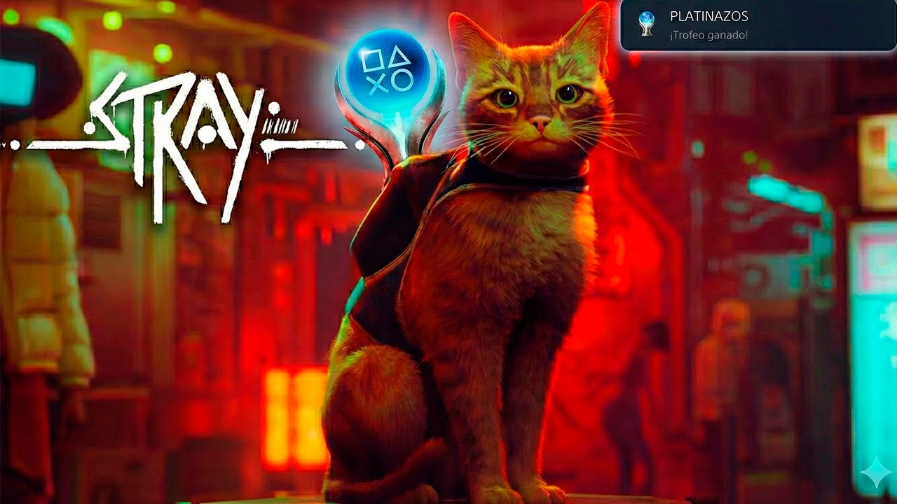 El PLATINO de STRAY es una OBRA DE ARTE