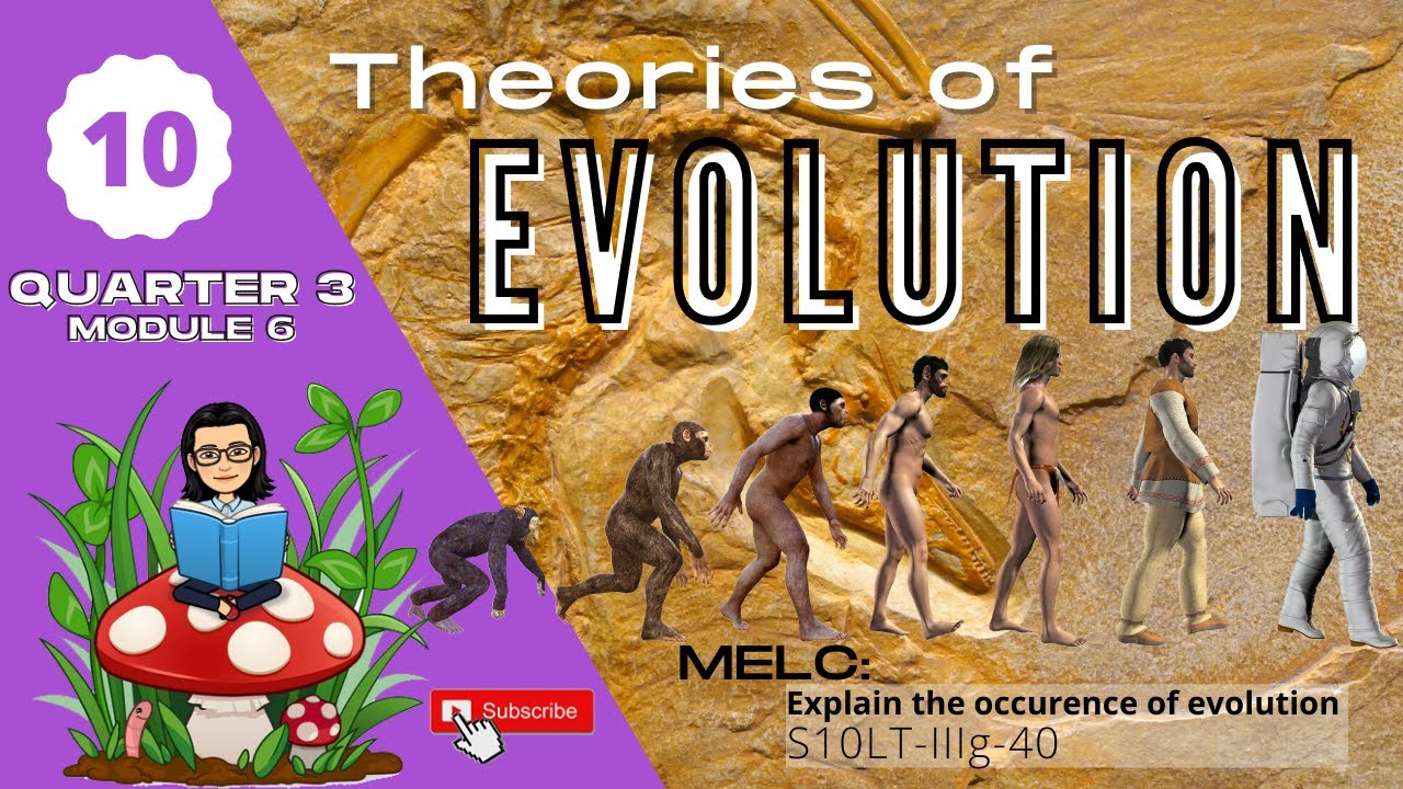 Grade 10 SCIENCE | Quarter 3 Module 6 | Theories of Evolution