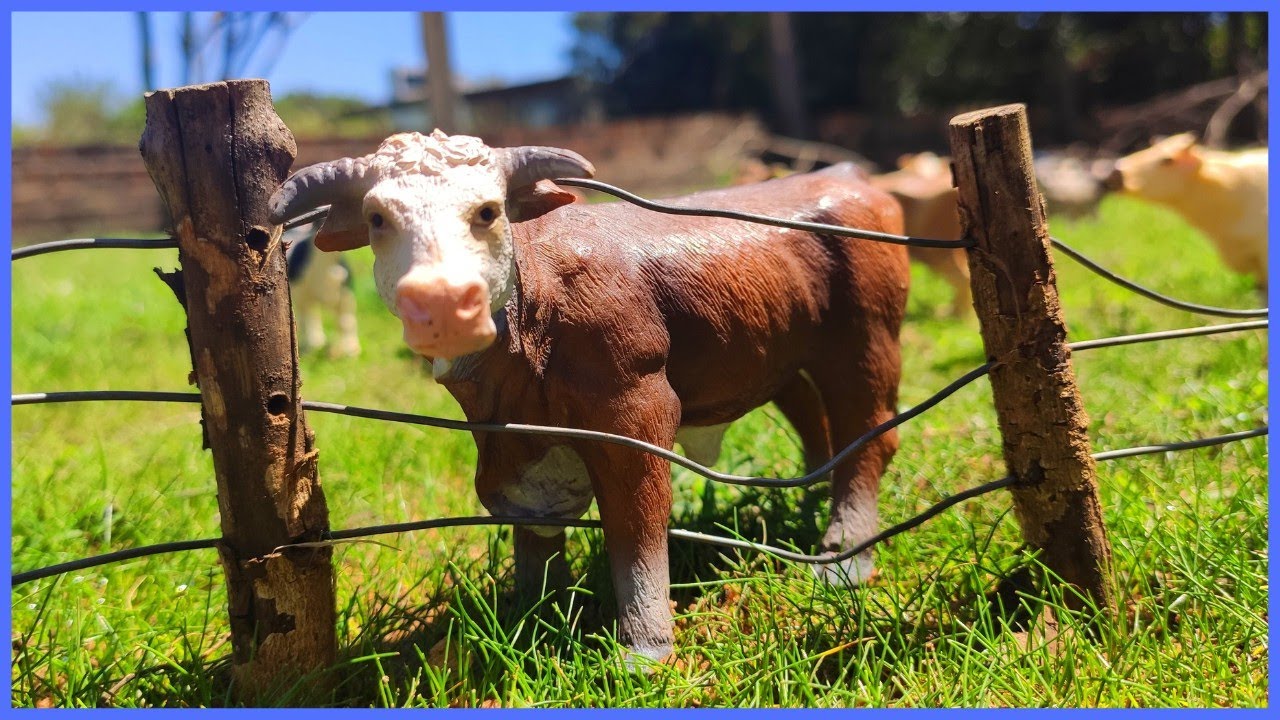 Fazenda de Brinquedo O TOURO HEREFORD FICOU PRESO NA CERCA  E  MUITO MAIS