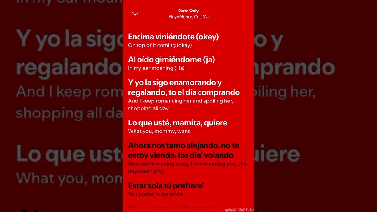 Gata Only - FloyyMenor,Cris mj (lyrics) , (Audio Song)
