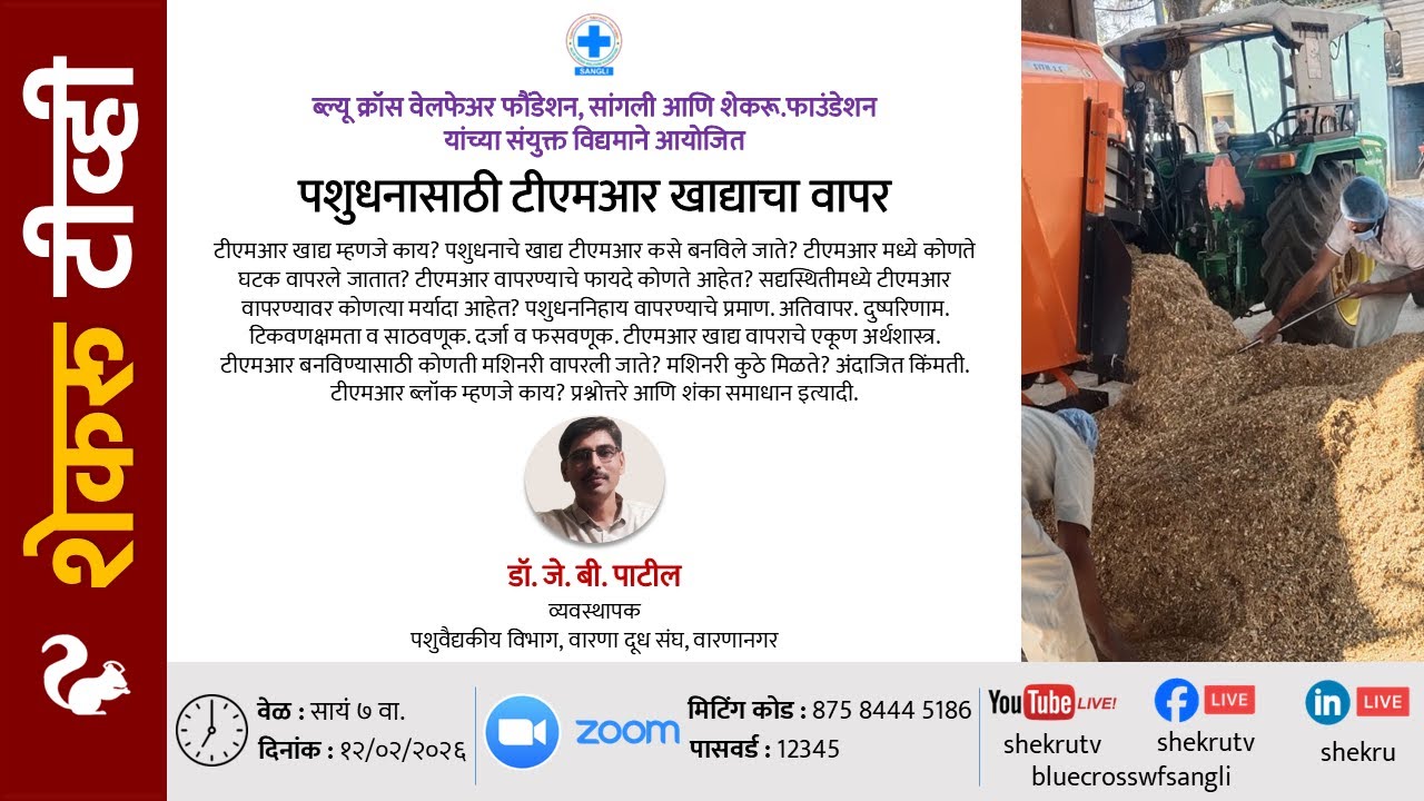 पशुधनासाठी टीएमआर खाद्याचा वापर