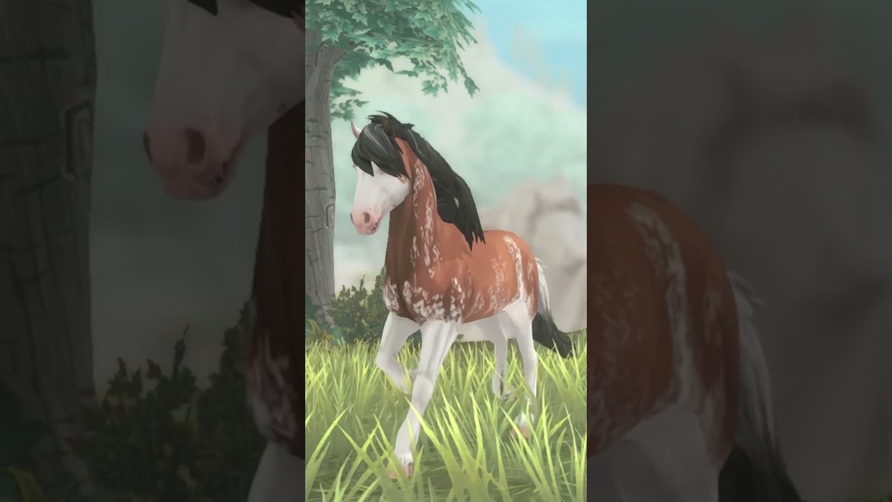 Du brauchst Ideen? 😏  #ssoshorts #blackmoonsso #starstable #starstableonline #ssoedit