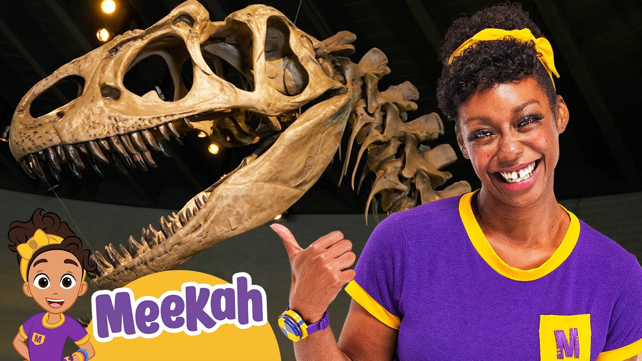 Meekah Learns About Dinosaurs in a Dinosaur Museum! | Meekah Full Episodes