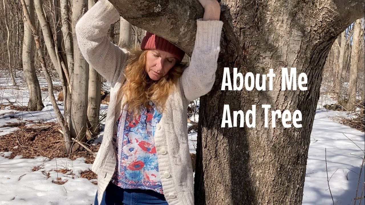 About Me And Tree: The Mycelium Network And Connection