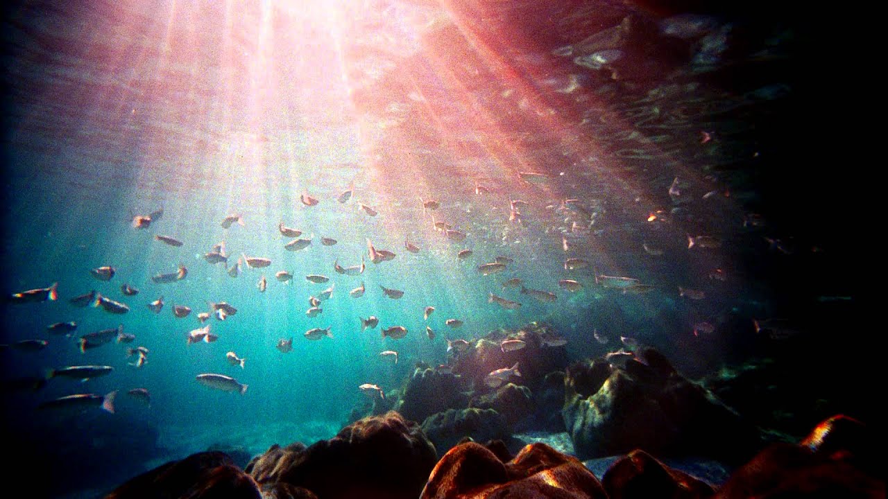 LOMO LC-Wide