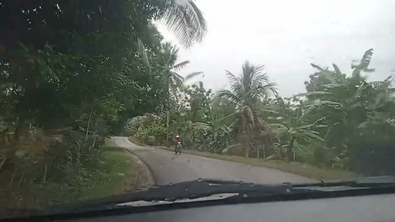 Lintas jalur sulteng@ala bangjenggot