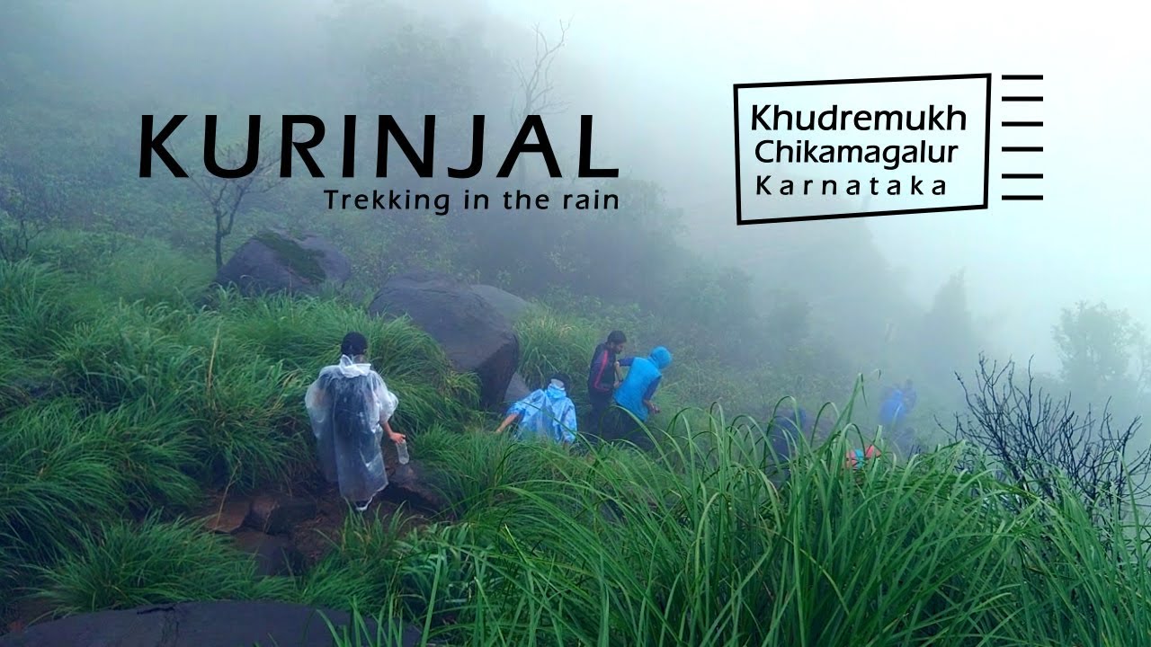 Kurinjal Peak Trek - Khudremukh Range || Chikmagalore || Karnataka || A Trek to Remember