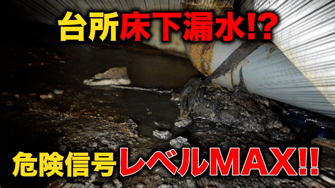 築５０年ちかく！？危険信号MAX？初めて排水管が詰まった！油はどれだけ出てくる？【花のお掃除 #380】