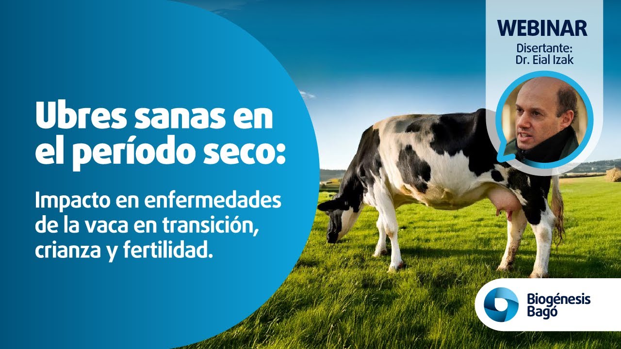 Webinar | Ubres Sanas en el período seco | Biogénesis Bagó