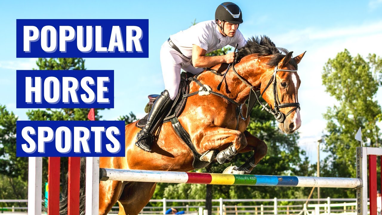 What Are The Most Popular Horse Sports