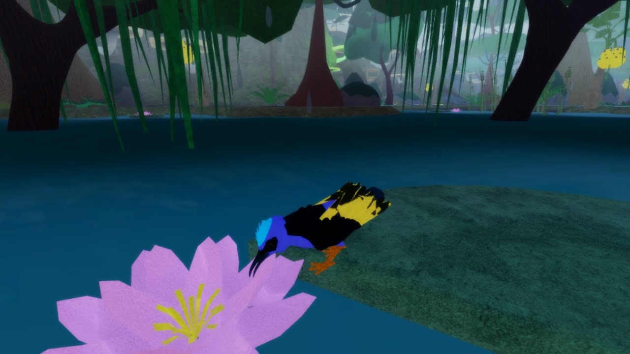 Trying out new bird in Feather Family 