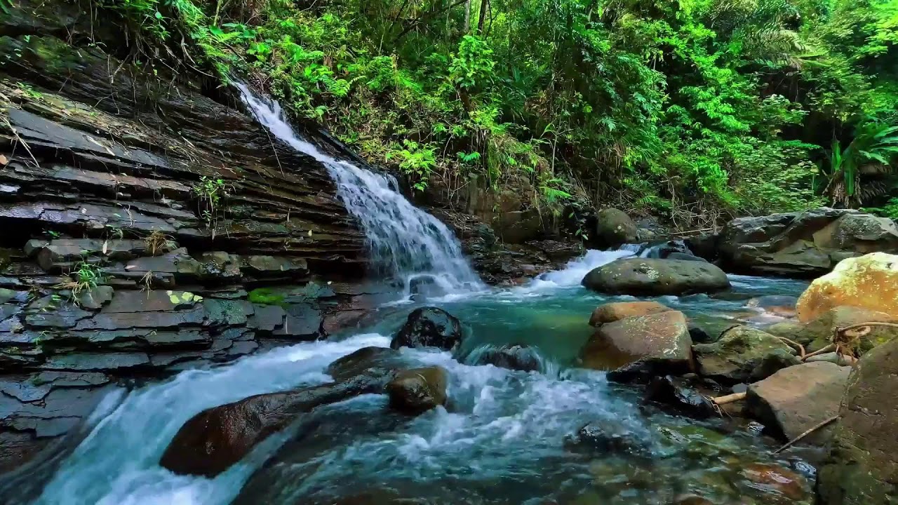 Waterfall Sounds for Sleeping | Deep Sleep Waterfall White Noise & River Sound