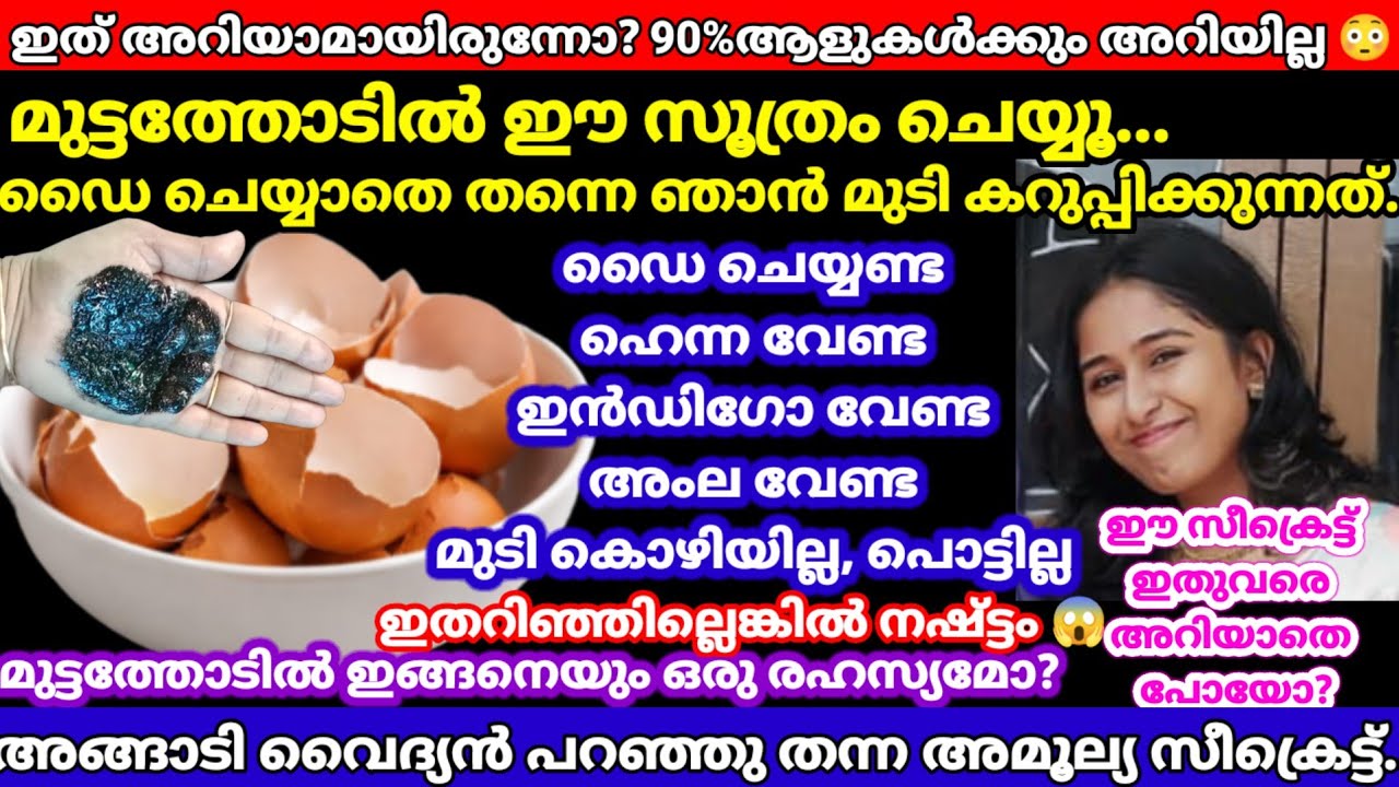 മുട്ടത്തോട് ആള്കില്ലാടിതന്നെ!ഒറ്റയടിക്ക് മുടി കട്ടക്കറുപ്പാക്കാൻഅങ്ങാടി വൈദ്യൻപറഞ്ഞസീക്രെട്ട് #nodye