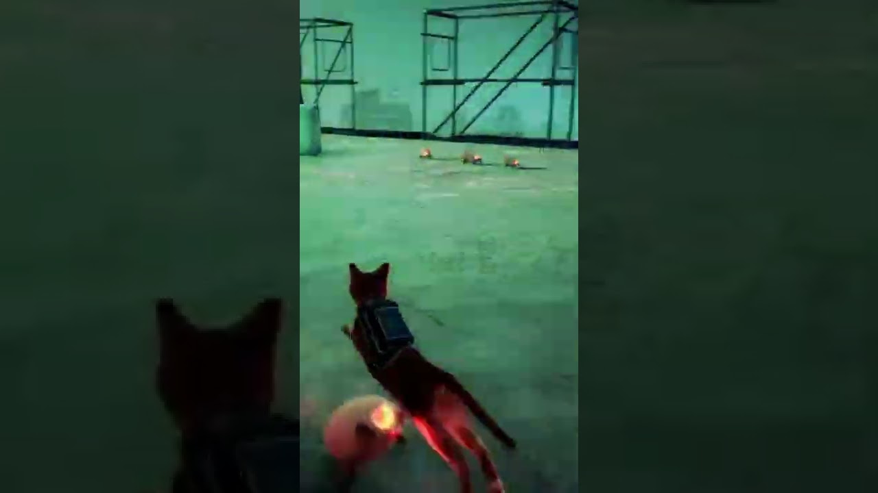 THIS CAT CAN DODGE | Stray