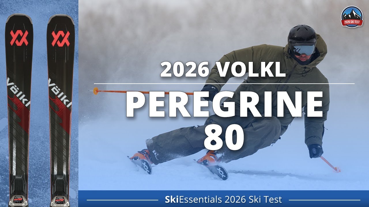 Volkl Peregrine 80 2026 года — обзор лыж SkiEssentials