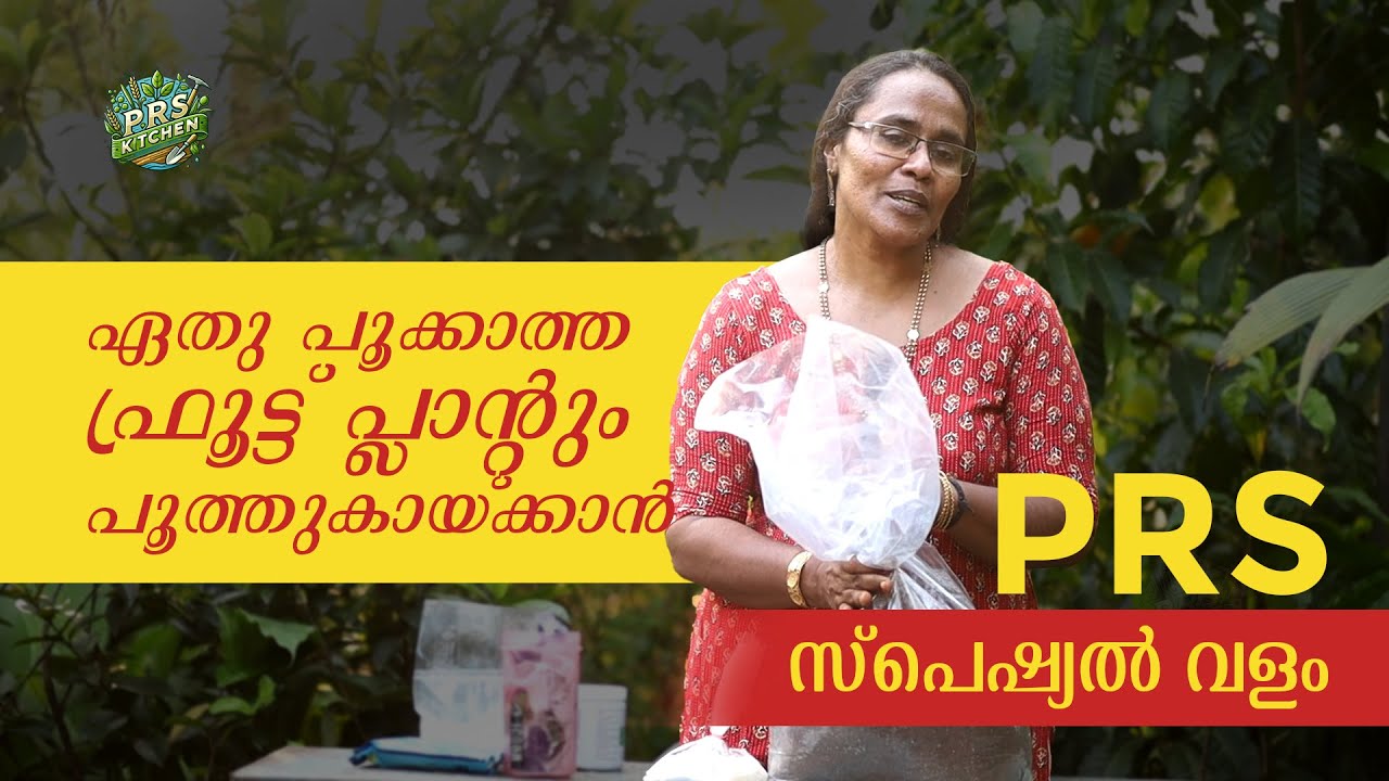ഏതു പൂക്കാത്ത ഫ്രൂട്ട് പ്ലാന്റും പൂത്തുകായ്ക്കാൻ PRS സ്പെഷ്യൽ വളം | PRS Special Kootuvalam (Manure)