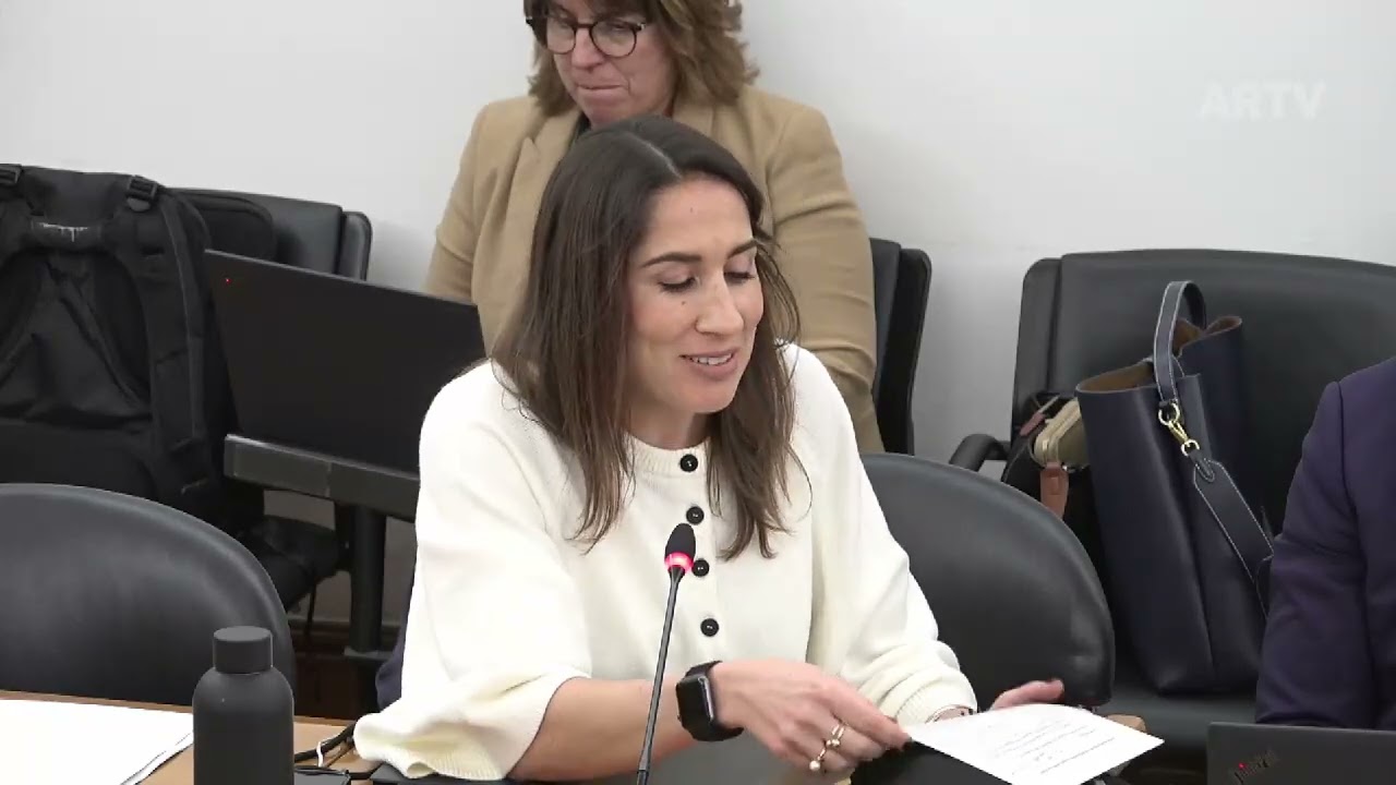 26-02-2026 - CPI-INEM | Audição de Ana Margarida de Brito Pedroso | Marina Gonçalves