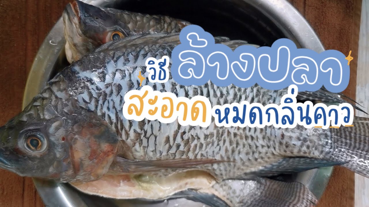วิธีล้างปลา ไม่ให้คาว เทคนิคการล้างปลา ที่ต้องรู้ ได้ผลดีมาก เคล็ดลับดีๆ ในการทำอาหาร