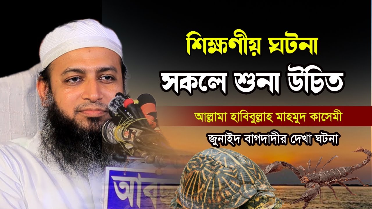 শিক্ষণীয় ঘটনা সকলে শুনা উচিত হাটহাজারী ময়দানে | Habibullah Mahmud Kasemi| হাবিবুল্লাহ মাহমুদ কাসেমী