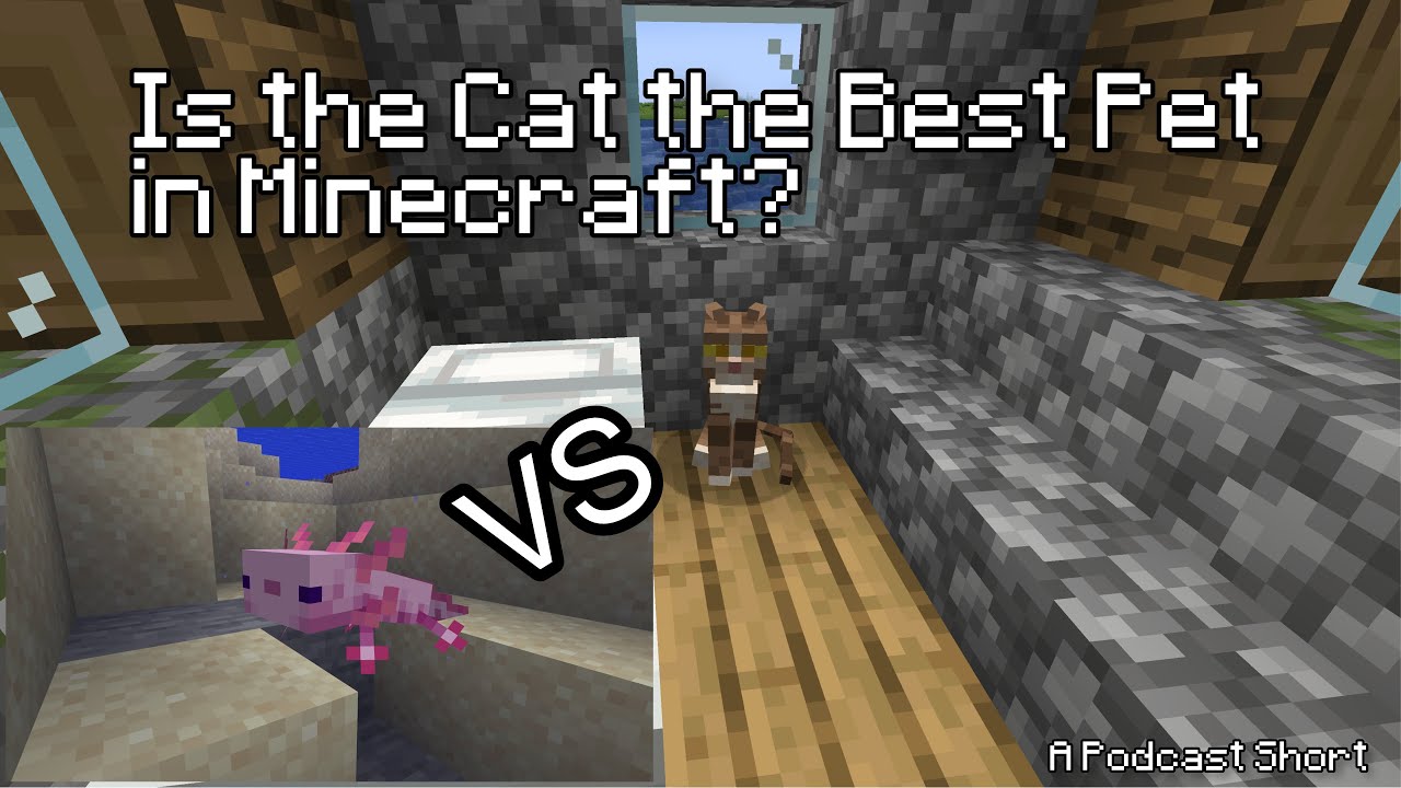 Ep 49: Is the Cat the Best Pet in Minecraft? - Podcast Shorts | Minecraft Short Stories