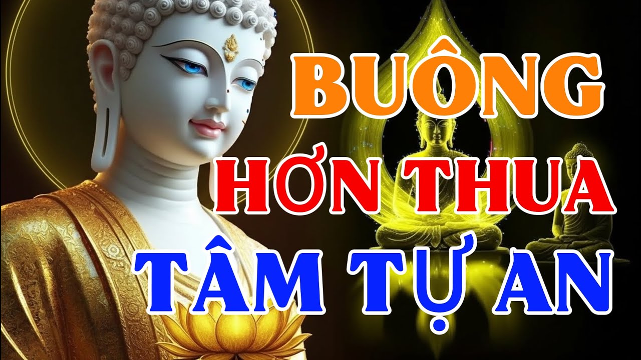 Buông Hơn Thua Để Tâm An – Con Đường Thoát Khổ Từ Bên Trong