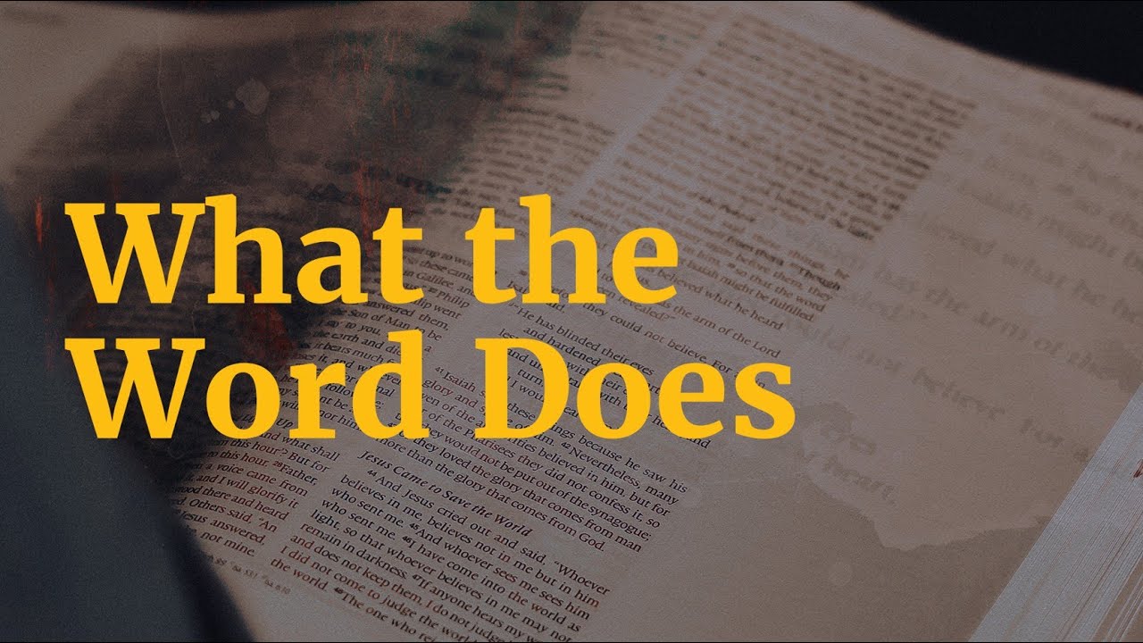 What the Word Does