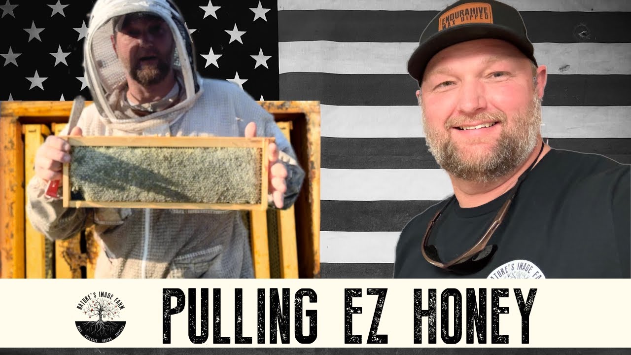 PULLING HONEY! SUPER FAST & EASY w FUME BOARDS & HONEY B GONE