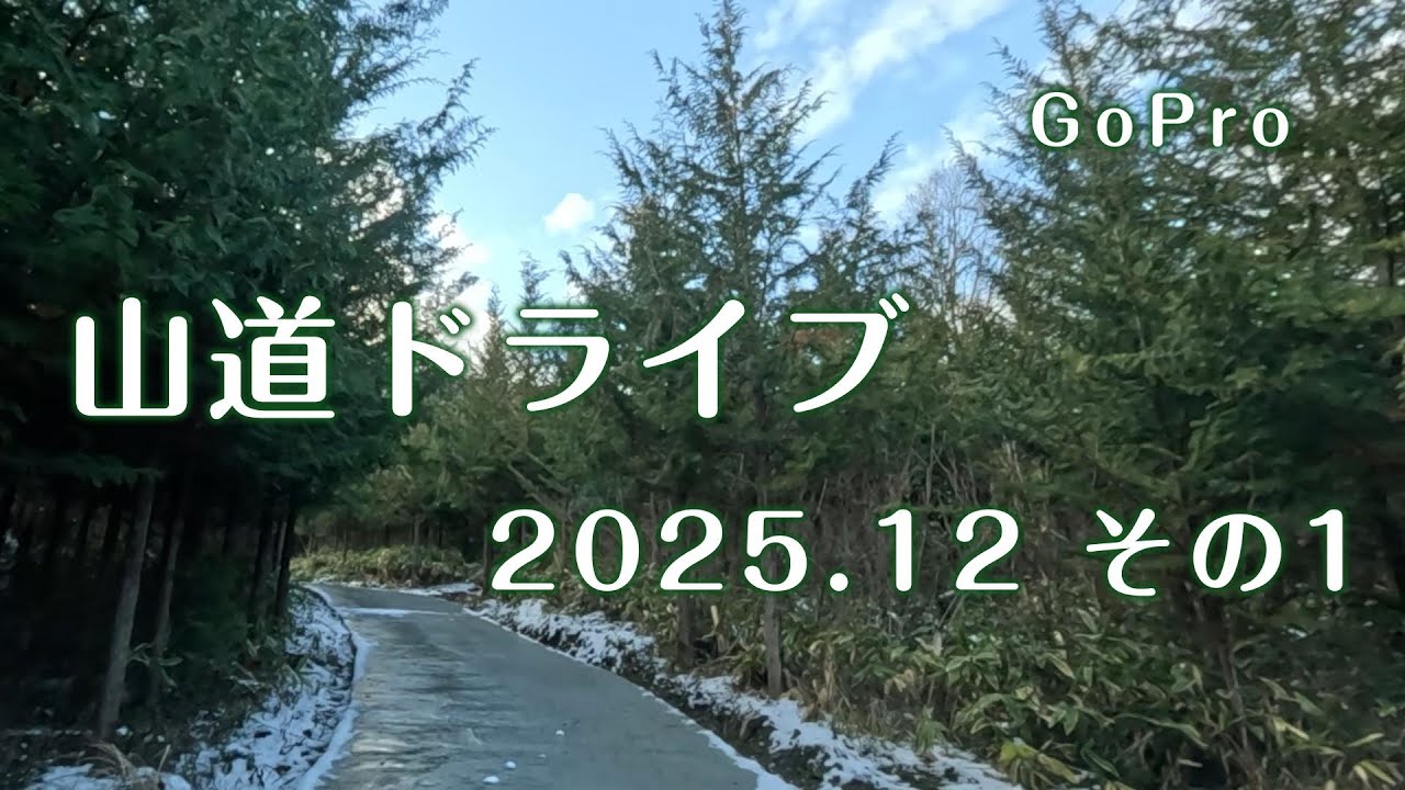 山道ドライブ 2025.12（その1）/ Mountain Driving #森林作業道 #林業